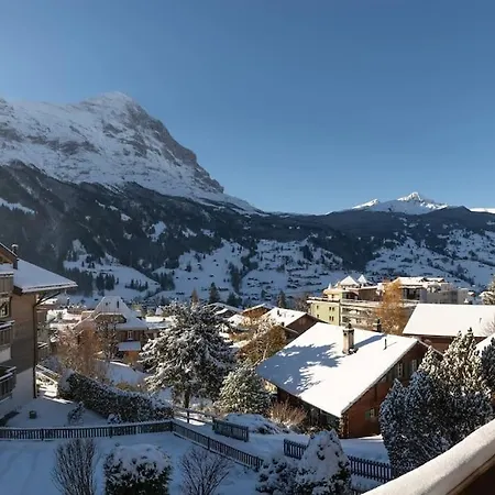 Appartement The Petit Bergidyll - Grindelhomes