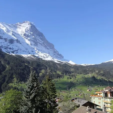 The Petit Bergidyll - Grindelhomes アパート *